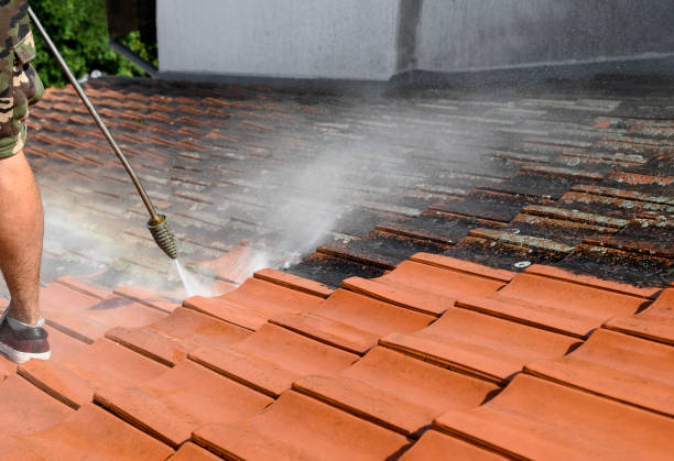 Queen Anne, MD Pressure Washing Pros