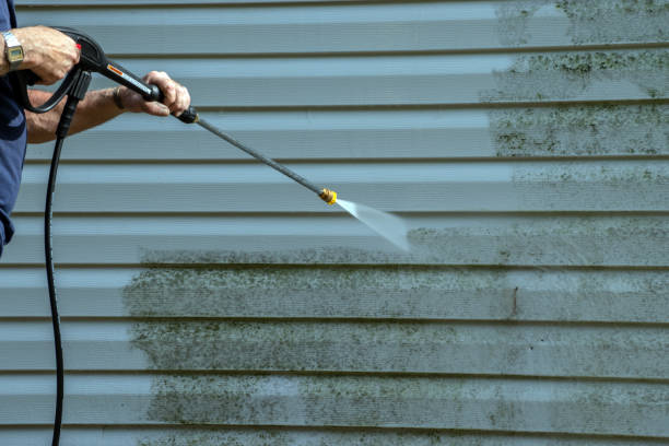 Best Concrete Pressure Washing  in Queen Anne, MD
